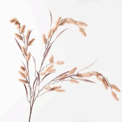 Dogtail Grass Spray Toffee 81cml