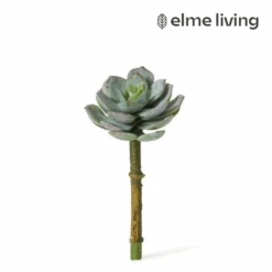 Echeveria Opalina Pick Grey Green 7x7x13cm