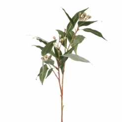 Eucalyptus Seed Spray Grey Green 91cml