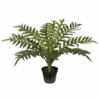 Fern Hares Foot In Pot Green 45cmh -Stacked Store FI7959GR