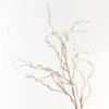 Twig Curly Willow Sp... Sand 100cml -Stacked Store FI8687SD
