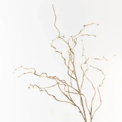 Twig Curly Willow Sp... Sand 100cml