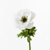 Anemone Winter White 52cml -Stacked Store FI9361WW