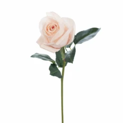 Rosebud Open Bella Soft Pink 38cml