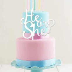 Cake Topper Sugar Crafty He Or She Cake Topper