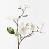 Magnolia Japanese Spray White 66cml -Stacked Store eyJidWNrZXQiOiJ3ZWItbmluamEtaW1hZ2VzIiwia2V5IjoiZmxvcmFsaW50ZXJpb3JzMlwvaW1hZ2VzXC9wcm9kaW1nXC80MjQ3XzEuanBnIiwiZWRpdHMiOnsicmVzaXplIjp7IndpZHRoIjoxMDI4LCJoZWlnaHQiOjEwMjgsImZpdCI6Iml