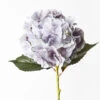 Hydrangea Grey 52cml -Stacked Store eyJidWNrZXQiOiJ3ZWItbmluamEtaW1hZ2VzIiwia2V5IjoiZmxvcmFsaW50ZXJpb3JzMlwvaW1hZ2VzXC9wcm9kaW1nXC81OTIxXzEuanBnIiwiZWRpdHMiOnsicmVzaXplIjp7IndpZHRoIjoxMDI4LCJoZWlnaHQiOjEwMjgsImZpdCI6Iml