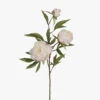 Peony X3 White 74cml -Stacked Store eyJidWNrZXQiOiJ3ZWItbmluamEtaW1hZ2VzIiwia2V5IjoiZmxvcmFsaW50ZXJpb3JzMlwvaW1hZ2VzXC9wcm9kaW1nXC8yOTdfMS5qcGciLCJlZGl0cyI6eyJyZXNpemUiOnsid2lkdGgiOjEwMjgsImhlaWdodCI6MTAyOCwiZml0IjoiaW5
