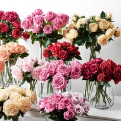 Rose Bella Red 37cml -Stacked Store eyJidWNrZXQiOiJ3ZWItbmluamEtaW1hZ2VzIiwia2V5IjoiZmxvcmFsaW50ZXJpb3JzMlwvaW1hZ2VzXC9wcm9kaW1nXC8zMjkwXzQuanBnIiwiZWRpdHMiOnsicmVzaXplIjp7IndpZHRoIjoxMDI4LCJoZWlnaHQiOjEwMjgsImZpdCI6Iml