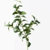 Laurel Leaf Spray Green Artificial Plant 84cml -Stacked Store floral interiors artificial laurel leaf spray green 84cml